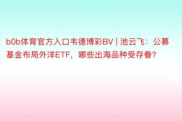 b0b体育官方入口韦德博彩BV | 池云飞：公募基金布局外洋ETF，哪些出海品种受存眷？