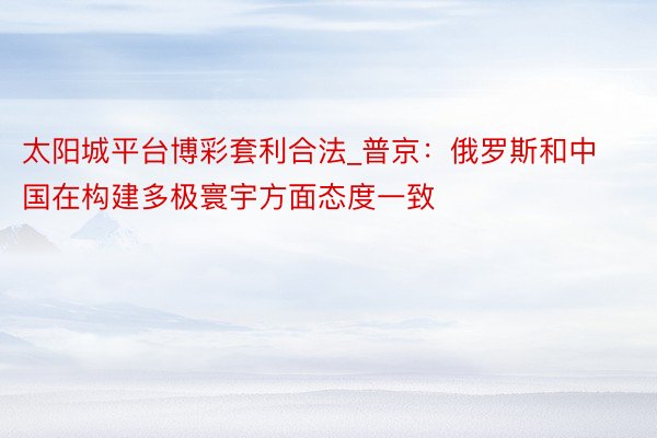 太阳城平台博彩套利合法_普京：俄罗斯和中国在构建多极寰宇方面态度一致