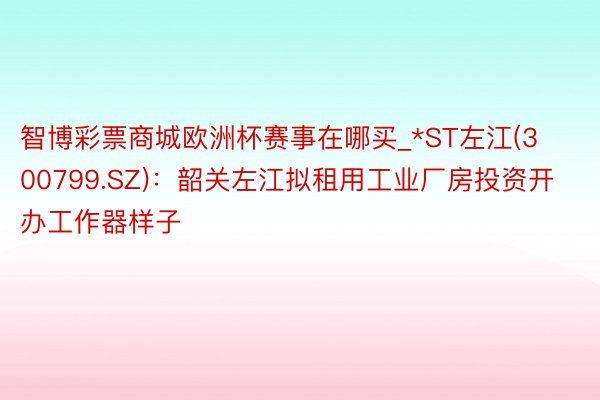 智博彩票商城欧洲杯赛事在哪买_*ST左江(300799.SZ)：韶关左江拟租用工业厂房投资开办工作器样子